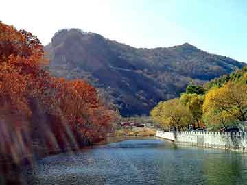 管家婆黑白马报图库，恩平seo建站